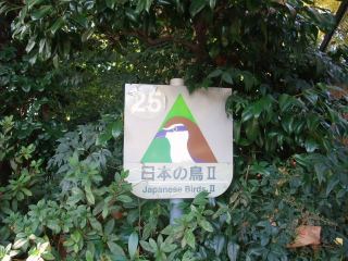 {̒�@nbI