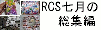 RCS̑W